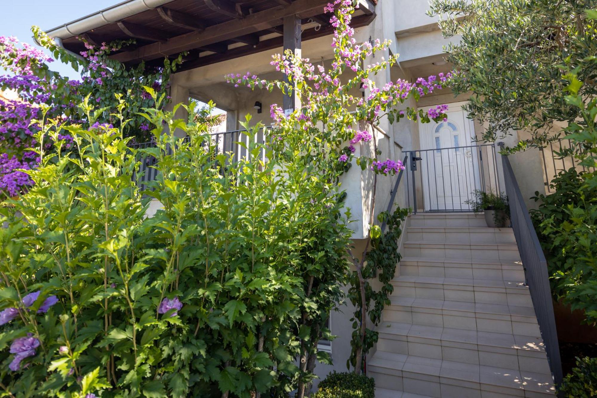 ביוגראד נה מורו Lumaja Luxury Apartman מראה חיצוני תמונה